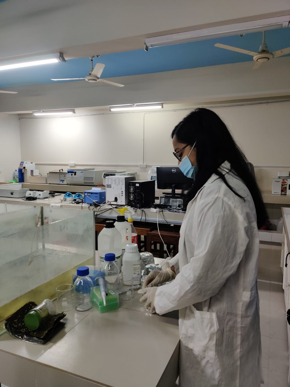 Research Works for students